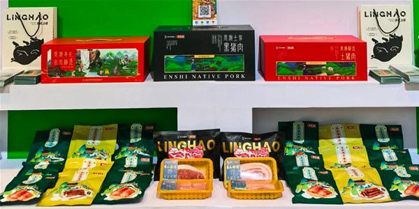 湖北日?qǐng)?bào)|兼具實(shí)力與顏值 “楚小田”、零號(hào)土豬圈粉天津衛(wèi)