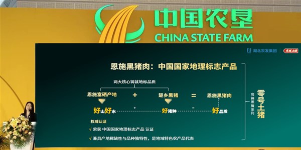 湖北日?qǐng)?bào)|秭歸“七橙”、耐煮青菜、不吐刺的武昌魚(yú)……一桌“湖北菜” 添香農(nóng)交會(huì)