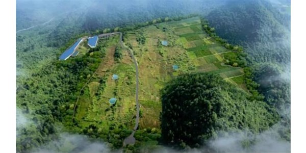 年豬示范養(yǎng)殖基地正式投欄，將帶動來鳳縣2個億生豬產(chǎn)值